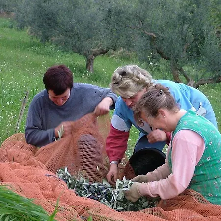 Agriturismo Le Tre Poiane Alojamento de Turismo Rural